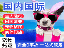 湿地空运公司国际宠物托运 【国